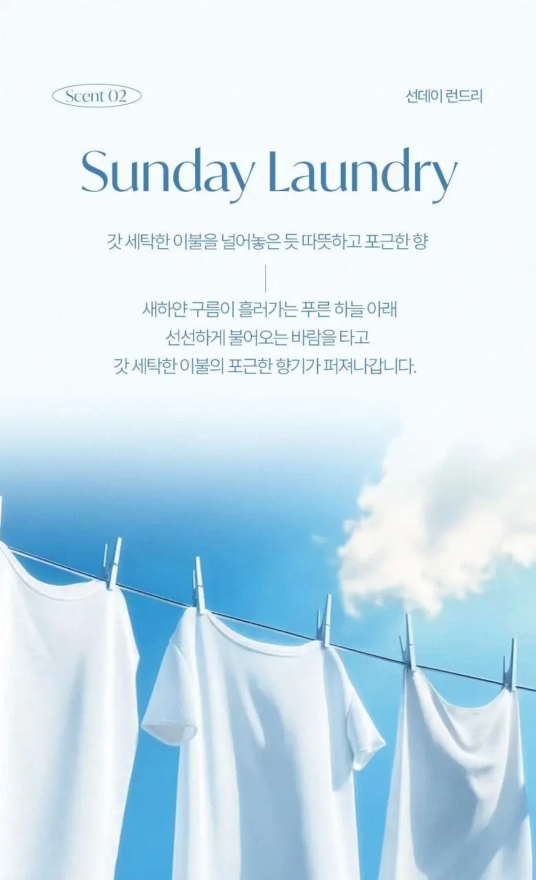 [핸드워시 증정기획] 라운드어라운드 센티드 핸드크림 50ml 상세페이지 14